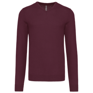Men's V-Neck Jumper, miniatyr 9